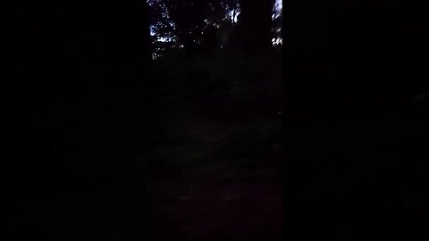 Relaxing bird & cricket sounds #relaxing #sleep #nature #seasound #viral #chill #meditation#peace