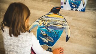 Jigsaw Puzzle - No Copyright ♫