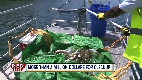 86 tons of dead fish picked up in Pinellas Co.