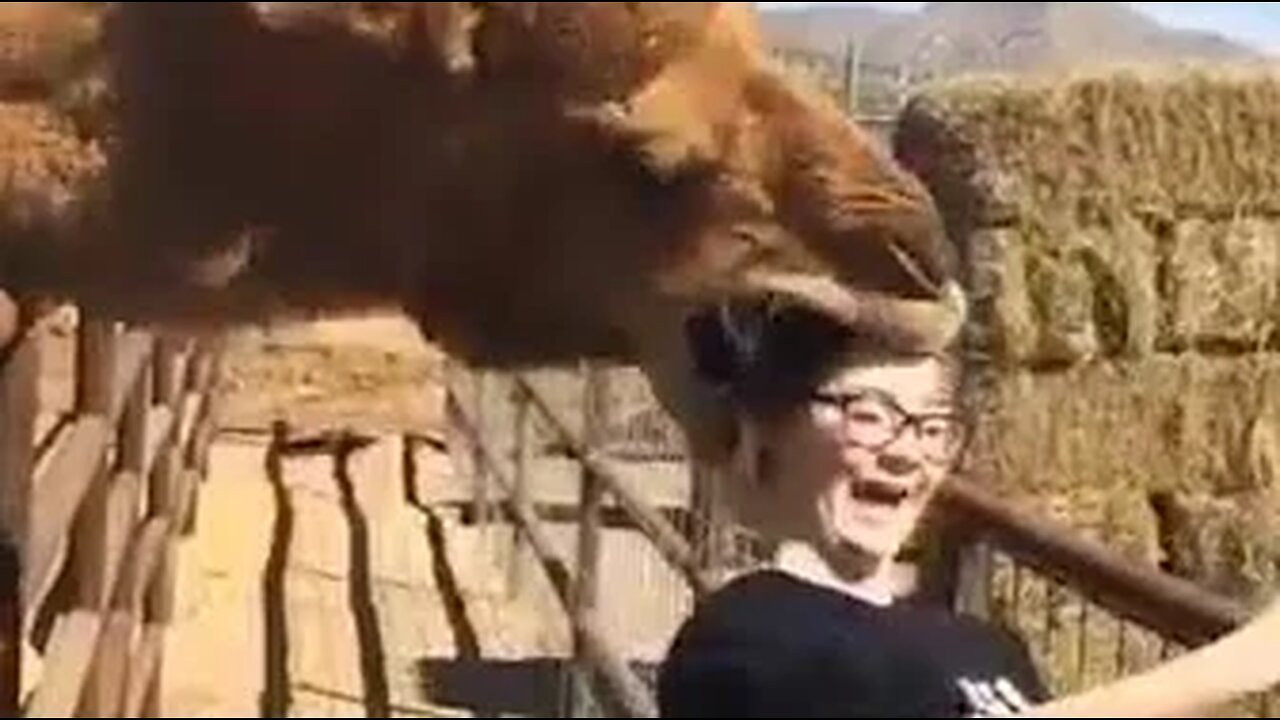 Planet Earth: FailArmy Fails Edition