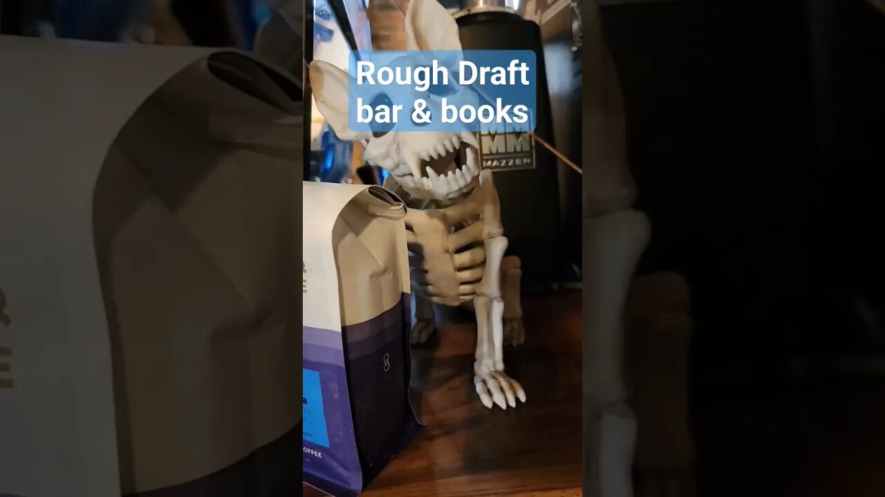 Rough Draft bar & books in Kingston, NY