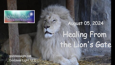 08-05-24 Healing From the Lion's Gate
