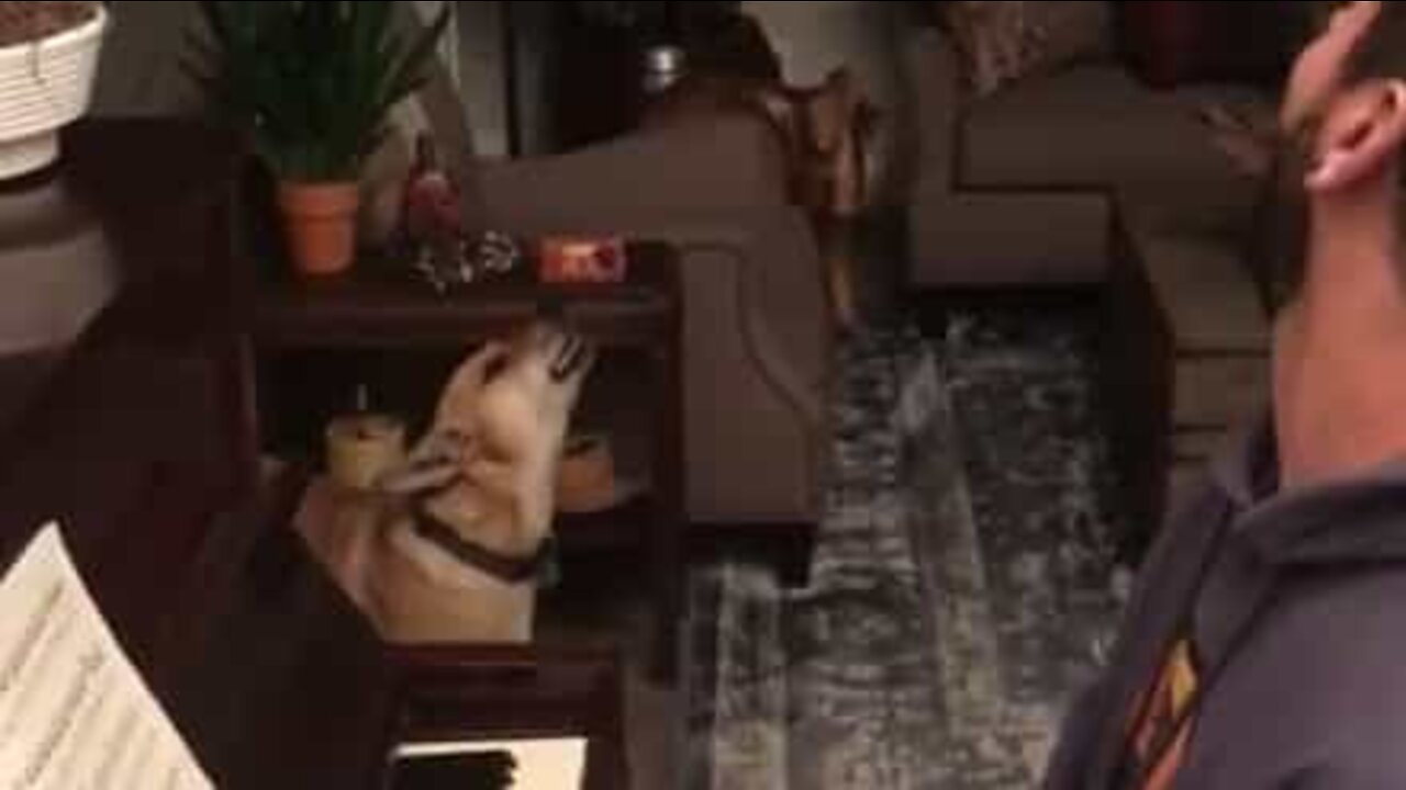 Cadela acompanha dono ao piano com a sua belíssima voz
