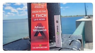 Maui Wowie DELTA 8 PRO