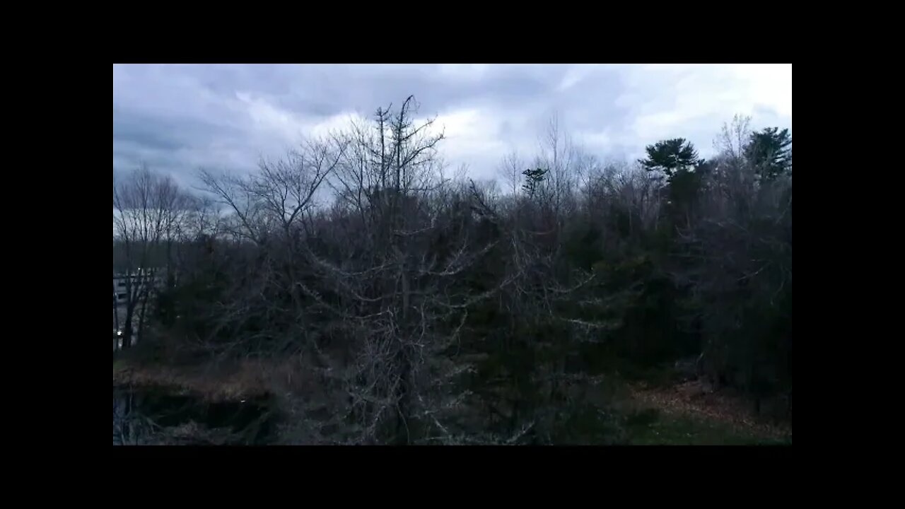 'Till The Next Episode (Almost hit two ducks)