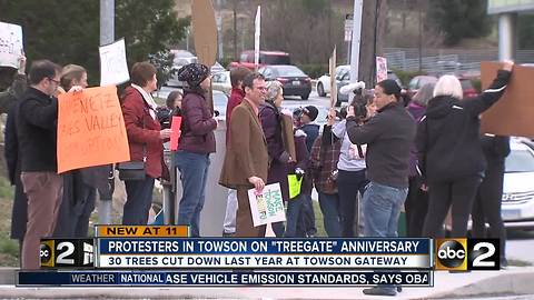 "Never Again": Towson residents protest the illegal removal of 30 trees