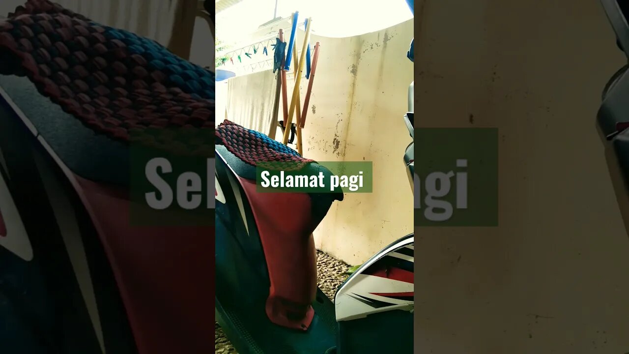 selamatpagi#shorts #short #shortvideo