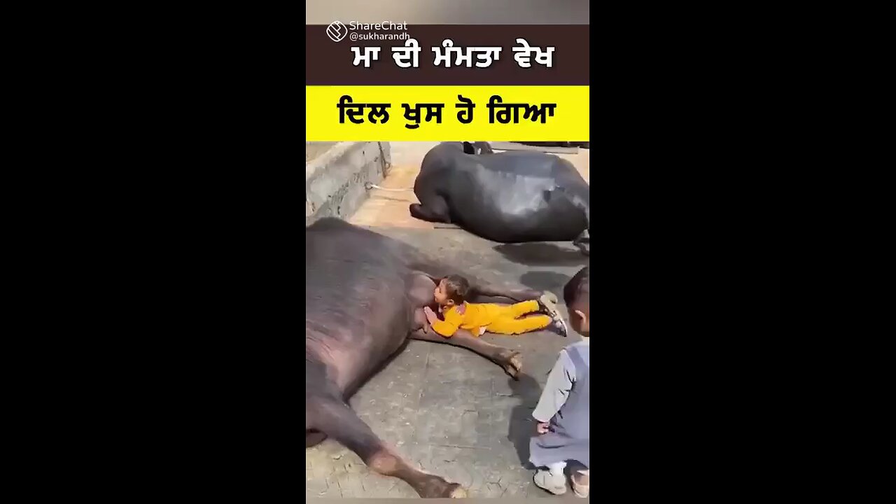Ranjit Singh