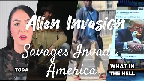 Pets At risk as migrant invasion continues Maria Zeee and special guests