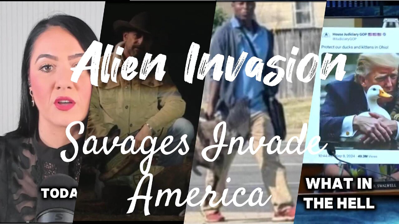 Pets At risk as migrant invasion continues Maria Zeee and special guests