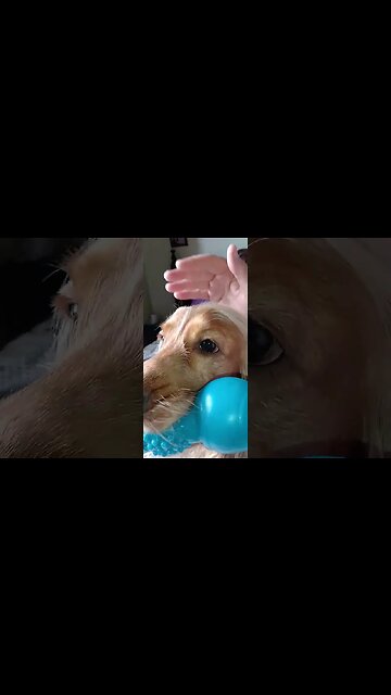 subscribe to my channel