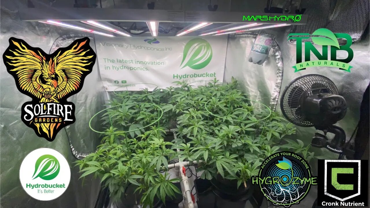 @Mars Hydro fce4800 Solfire Gardens Bahama Bussdown lights flipped to 12/12