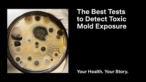 The Best Tests to Detect Toxic Mold Exposure
