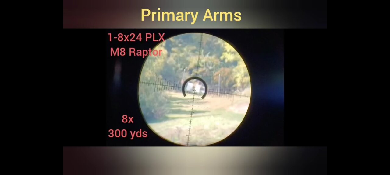 LPVO 8x vs 10x comparison... Primary Arms