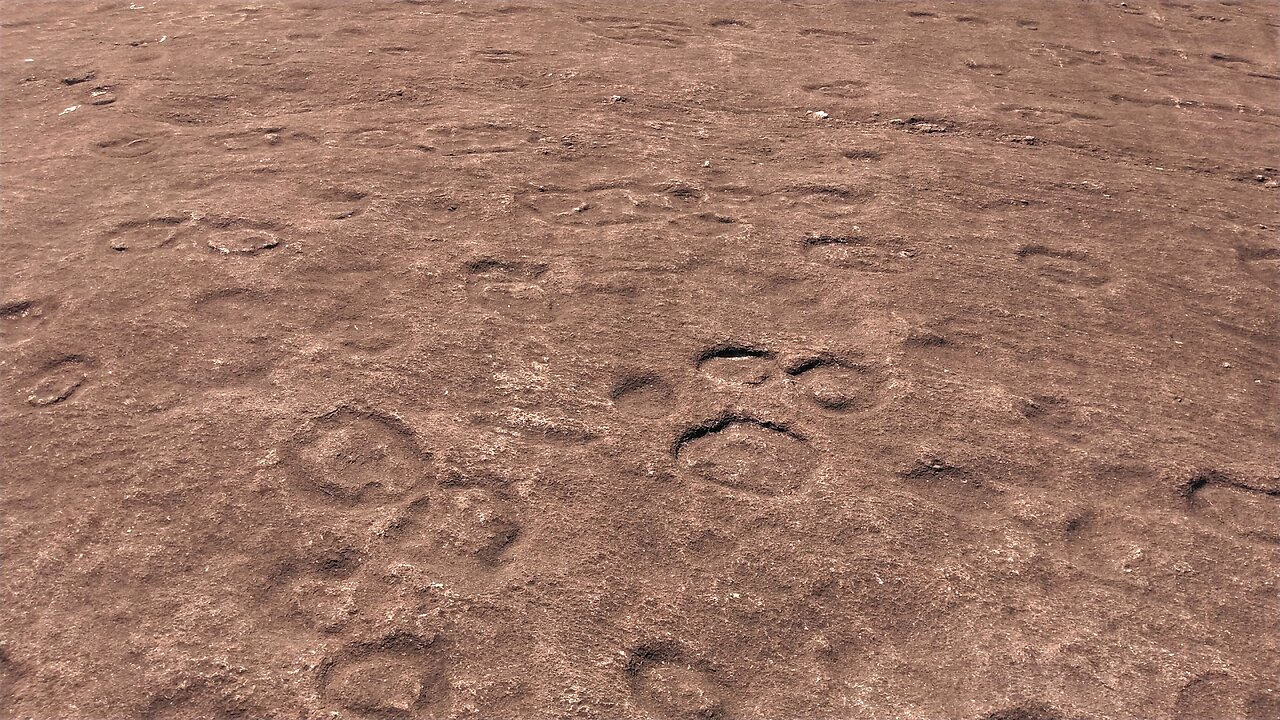 pinnicle mtn. petroglyphs