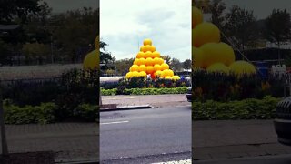 ORANGE BALLS !! #shorts #interesting #youtubeshorts