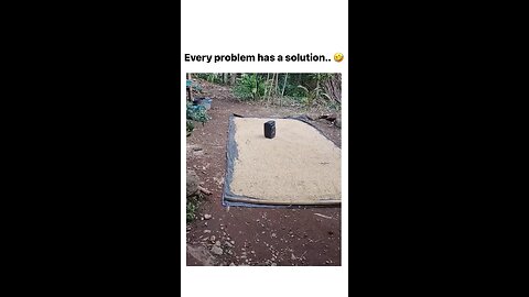 Every problem has a solution