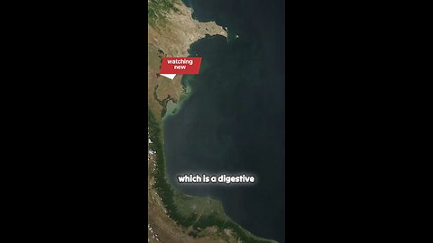 Did You Know Crude Oil Was Used as Medicine?