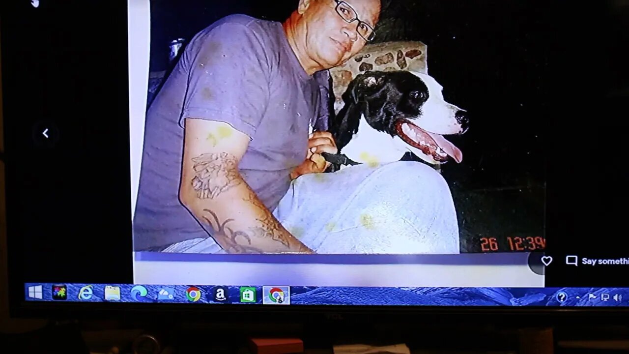 T Bird And Reds Pitbulls n Mini Choppers
