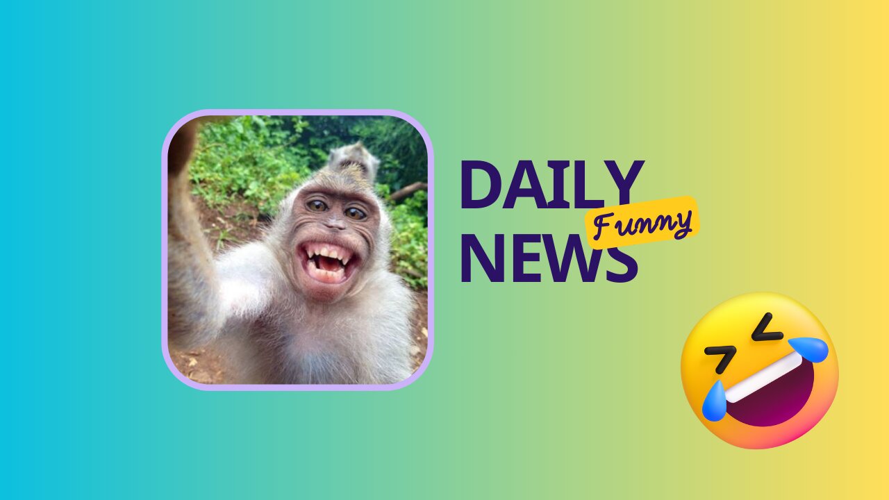 Best Funny Animal Videos of the year (2024), funniest animals ever