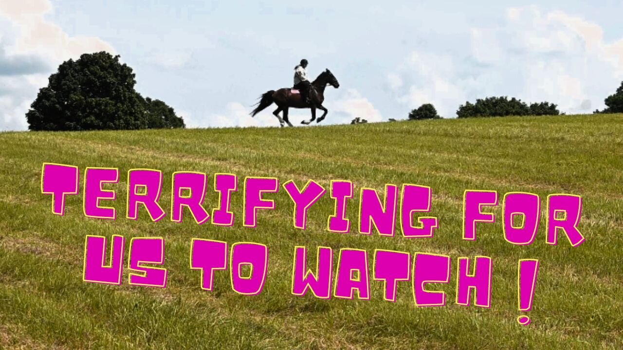 Her First Time Ever Galloping Through The Fields!