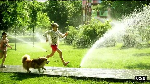 Girls play with pit dog