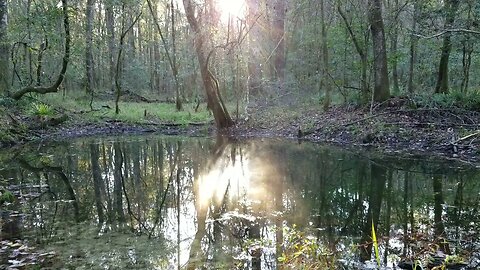 Sunrise at Double Springs