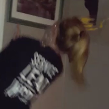 Extreme Saran Wrap with Mustard Prank