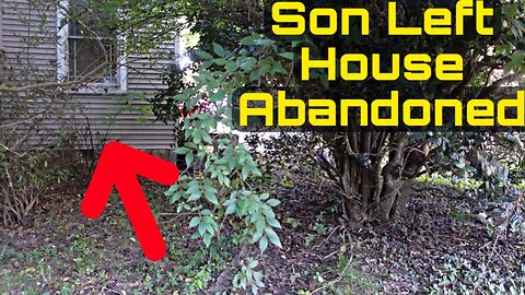 Her family showed their true colors - Lawn Transformation