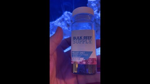 New fish tank
