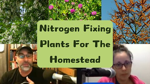 Nitrogen Fixing Plants For The Homestead