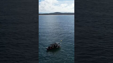Australia never disappoints! #freediving #seeaustralia #fun #australia #drone
