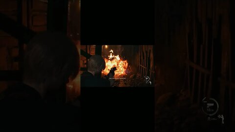 Resident Evil 4 :) Perfect Combo