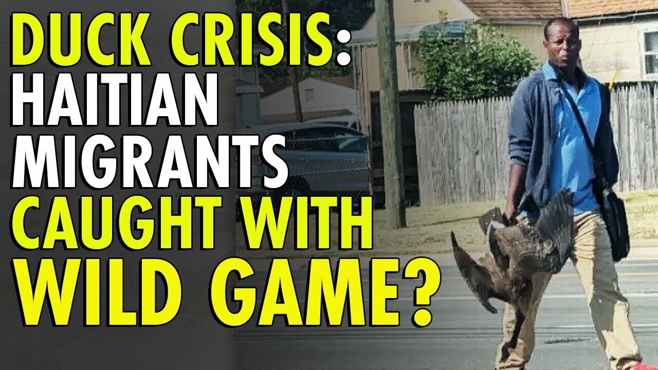 Citizen testifies Haitian Immigrants are harvesting ducks from local park in Springfield, Ohio