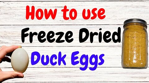 Using Freeze Dried Duck Eggs for Baking or Eating #shorts