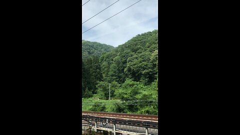 Forest in Japan from a bullet train