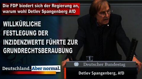 Die FDP biedert sich der Regierung, warum wohl Detlev Spangenberg AfD