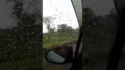 good day friends | #rainyday