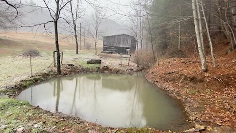 Restoring an old Pond