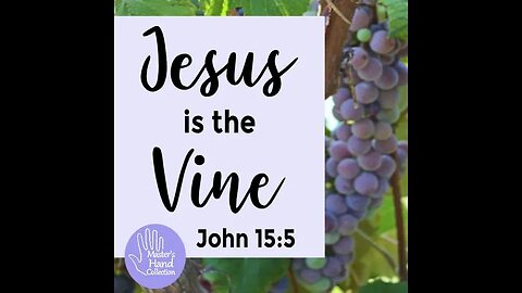 Scriptures Often Ignored John 15 The True Vine