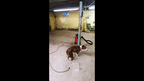 basement4