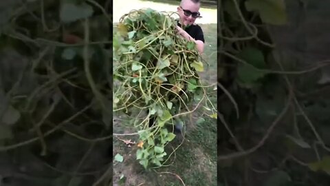 Young D.B. Cooper? 😎 #shorts #viral #trending