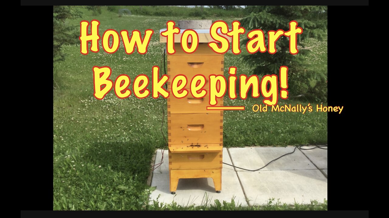 How to start backyard Beekeeping