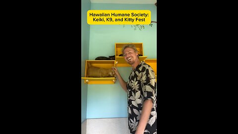 Rep. Pierick recently attended the Portuguese and Hawaiian Humane society events!