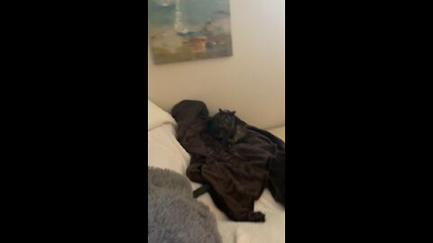 I promised I would never separate them