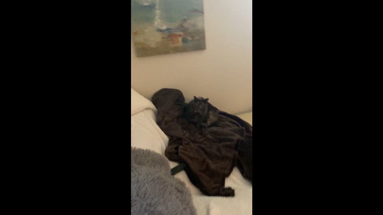 I promised I would never separate them