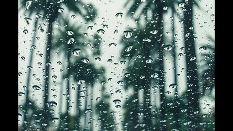 Rain Sound || #beats #relax #Nocopyright #energy #sound #crazysounds #rain #rainsound #music #shorts