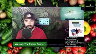Waylon, The Indoor Farmer EP#60: Finally Finished Trimming And Found New Problems