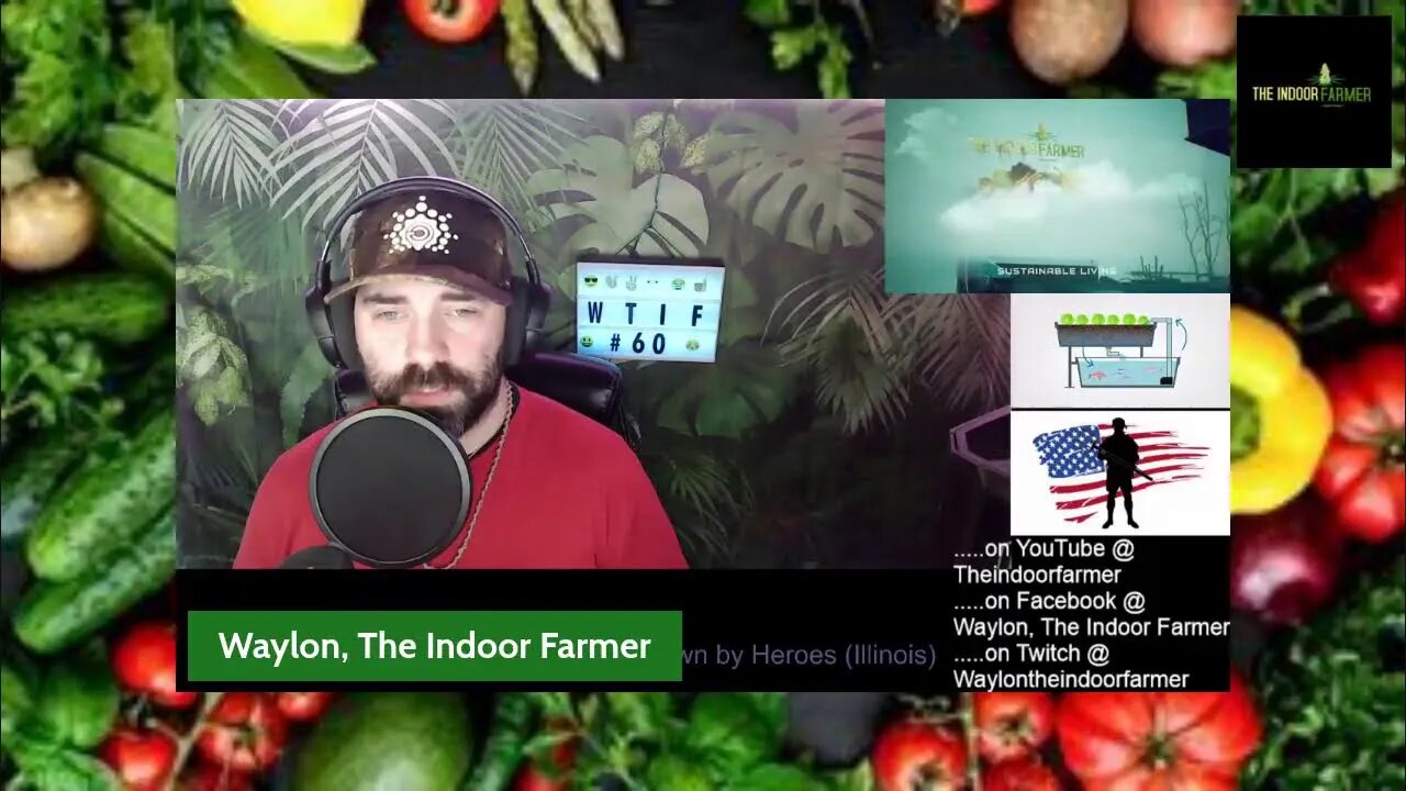 Waylon, The Indoor Farmer EP#60: Finally Finished Trimming And Found New Problems