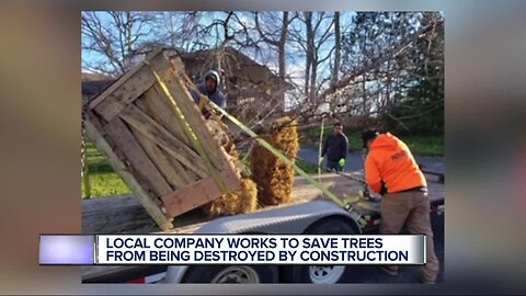Local company works to save trees from being destroyed by construction